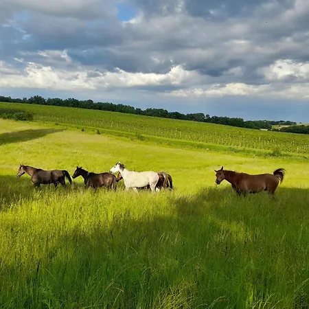 Nocleg ze śniadaniem Les 3 Vignobles
