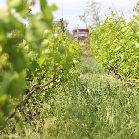 Les 3 Vignobles 3* Pardaillan